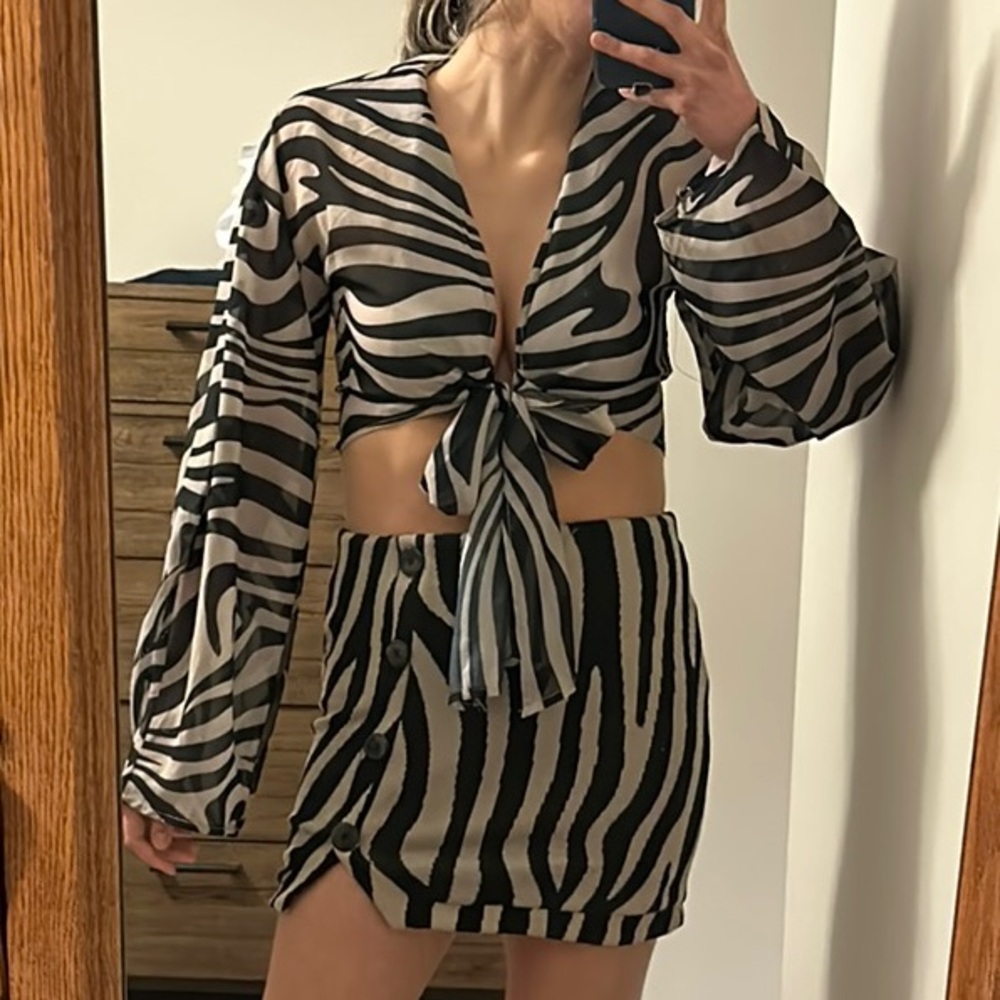 Zara Zebra Print Mini Skirt (Skirt Only) - Picture 4 of 4